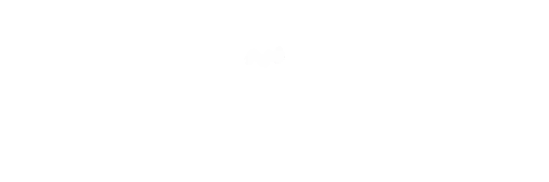 vs-logo-img